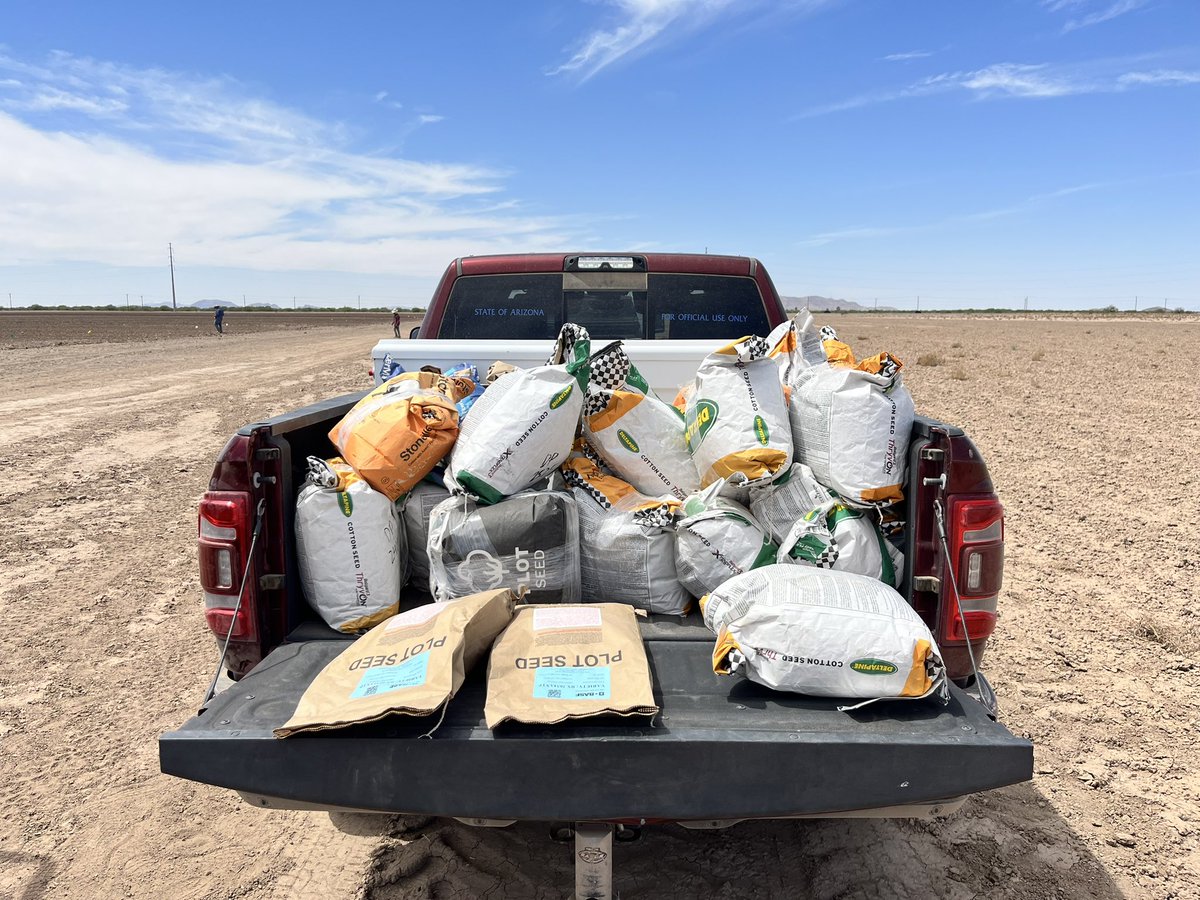 avikm90's tweet photo. University Cotton Variety Trial (UCVT) and Agronomic Performance Trial (APT) planting at Location 2. We are using 23 different varieties. https://t.co/fTOuVLbGV7