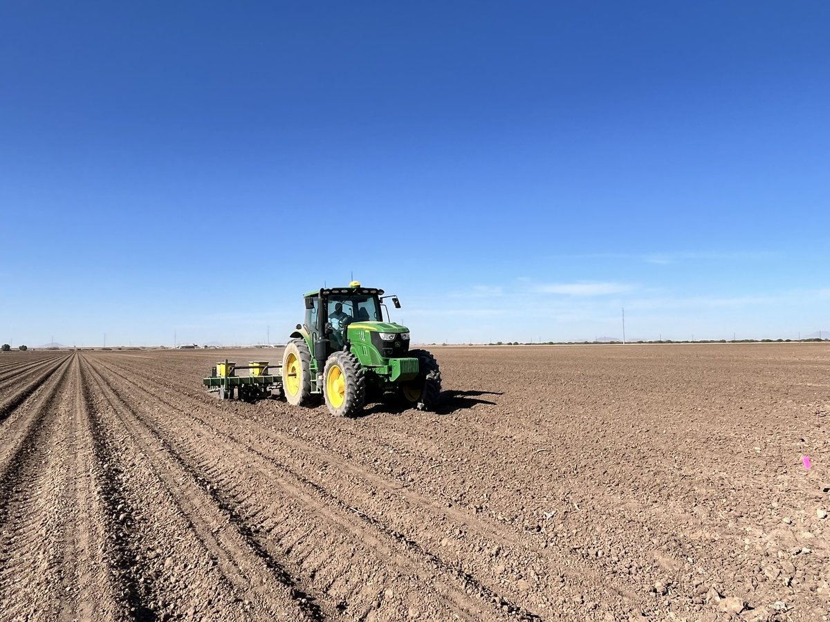 avikm90's tweet photo. University Cotton Variety Trial (UCVT) and Agronomic Performance Trial (APT) planting at Location 2. We are using 23 different varieties. https://t.co/fTOuVLbGV7