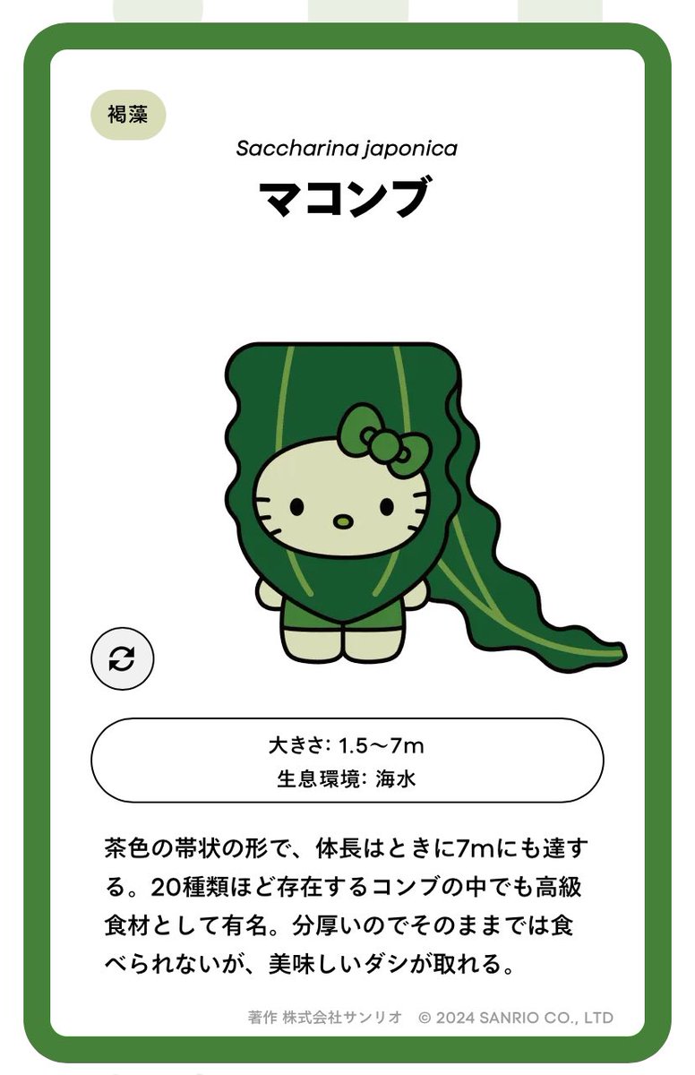 キティちゃん と #海藻 がコラボ🤩 #大阪万博 #日本館 が、 万博に向け