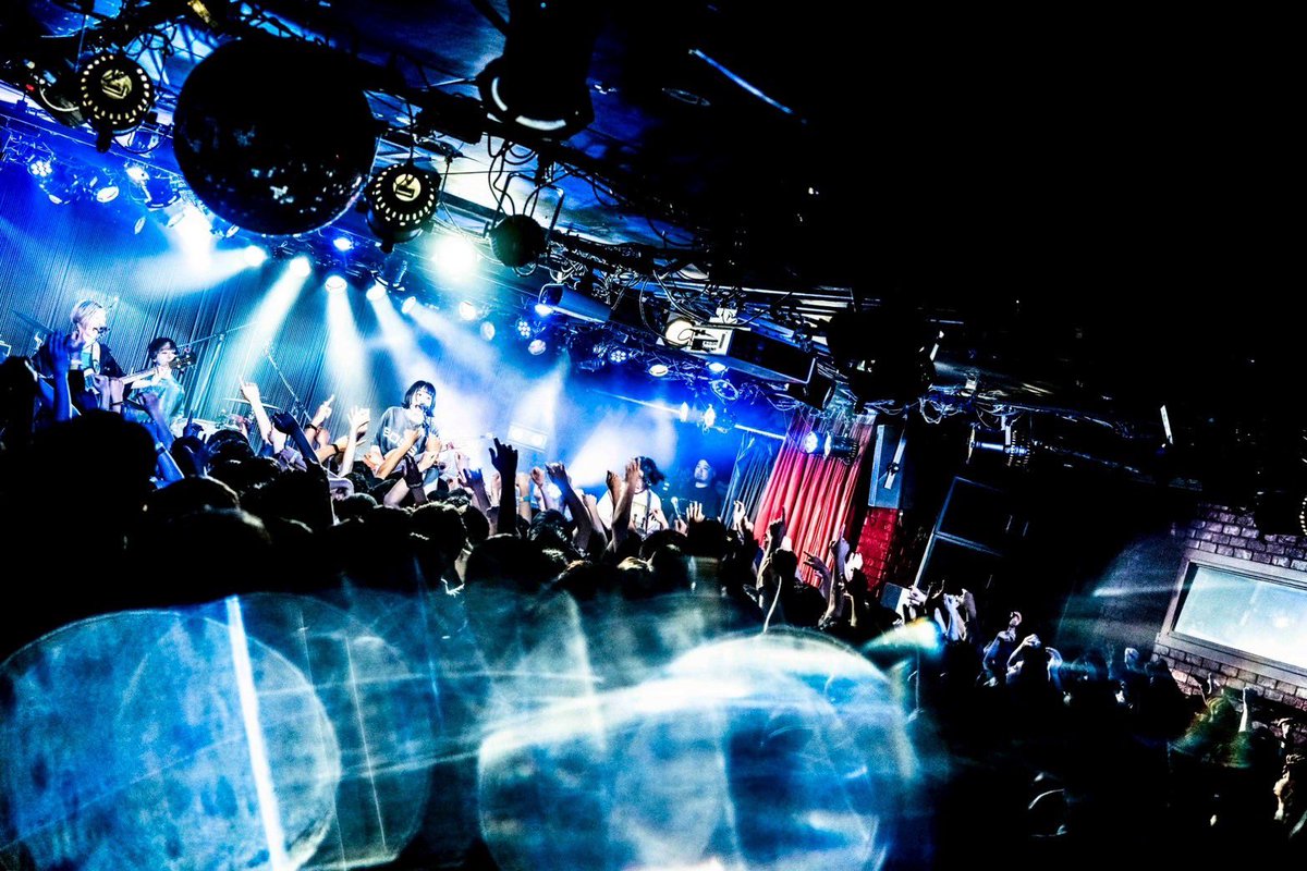 ネクライトーキー / NECRY TALKIE on X: ネクライトーキー / NECRY TALKIE on X: