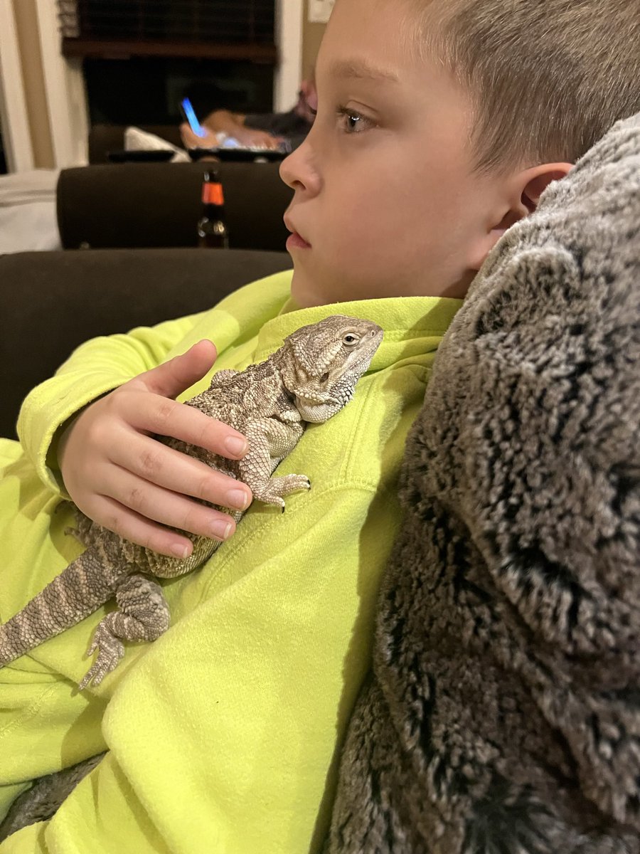 Our Little Miss Sweetie Pie crossed Rainbow Bridge today 🌈 We are going to miss her 😞