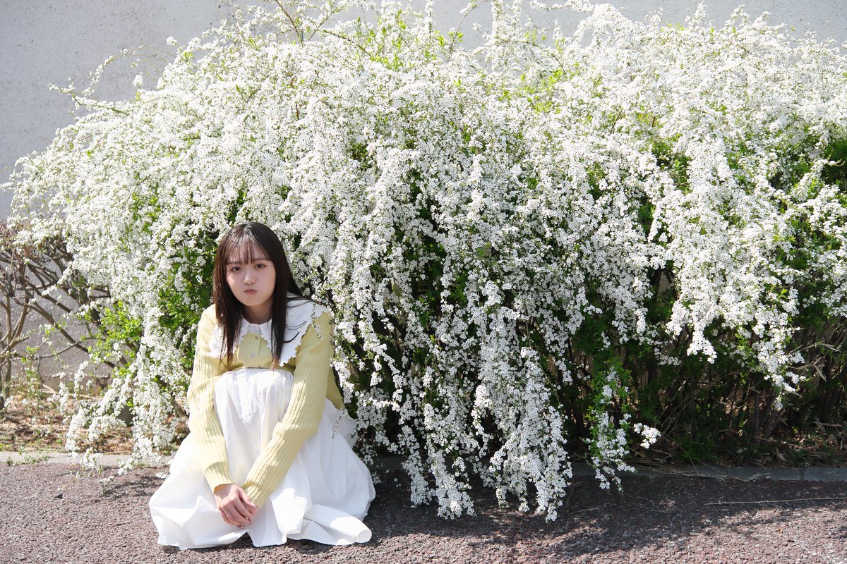 Chibakanabun's tweet image. 初めまして   16 ﾗｽﾄ  
Lun さん  @Lunchandayon
獅子舞の獅子 (白獅子) みたいな雪柳
Lunちゃんが獅子の「ガ王」ポーズを決めてくれました
@cherish_camera  #ゲストモデル  #佃島 
#丸顔愛好会  #るんちゃんを撮るんです