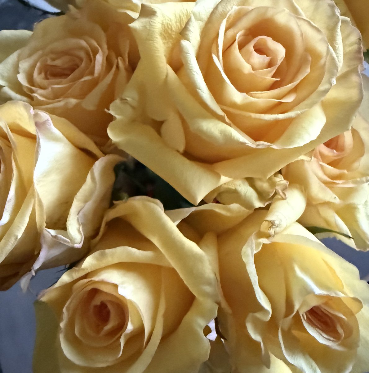 Agradezcamos desde lo más profundo del alma a cada persona que trabajó sin descanso ni miramientos para rescatar seres queridos ajenos.
¡Ellos son los grandes héroes!
Siempre gracias🇩🇴