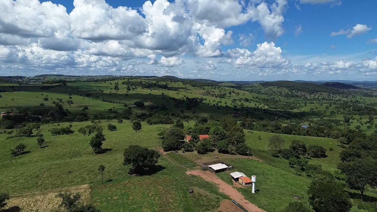 RonWerneck-PP2RON tweet media