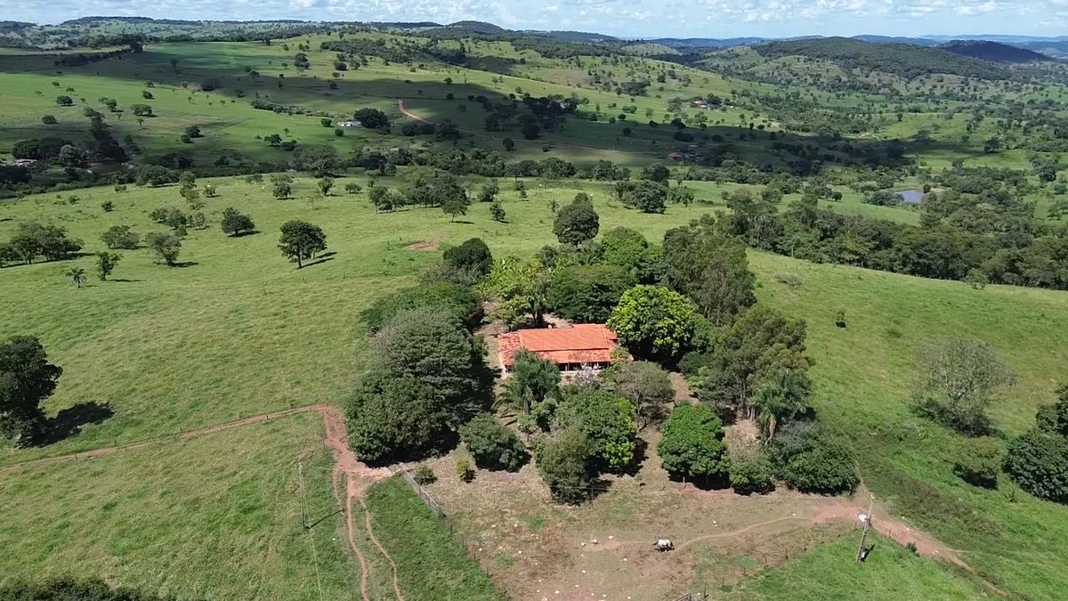 RonWerneck-PP2RON tweet media