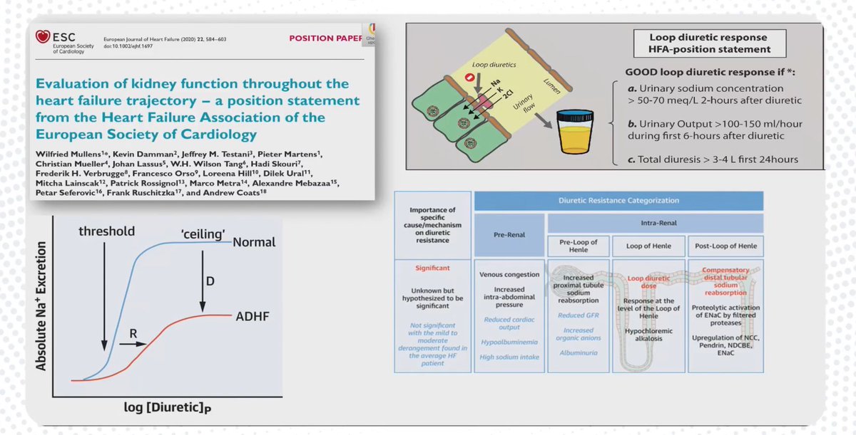 HanCardiomd's tweet photo. 📌Acute HF = heterogeneous, develops over hours to weeks
📌Congestion = core issue → diuretics = mainstay
📌Combo diuretics can overcome resistance
📌Acute meds = no impact post-discharge
📌Post-discharge GDMT = best way to improve outcomes
@MarcoMetra
#MasterClassIC @carlosguizars @HFA_President @EJHFEiC @AmrAbdin10 @CpaolaParedes @SJGreene_md