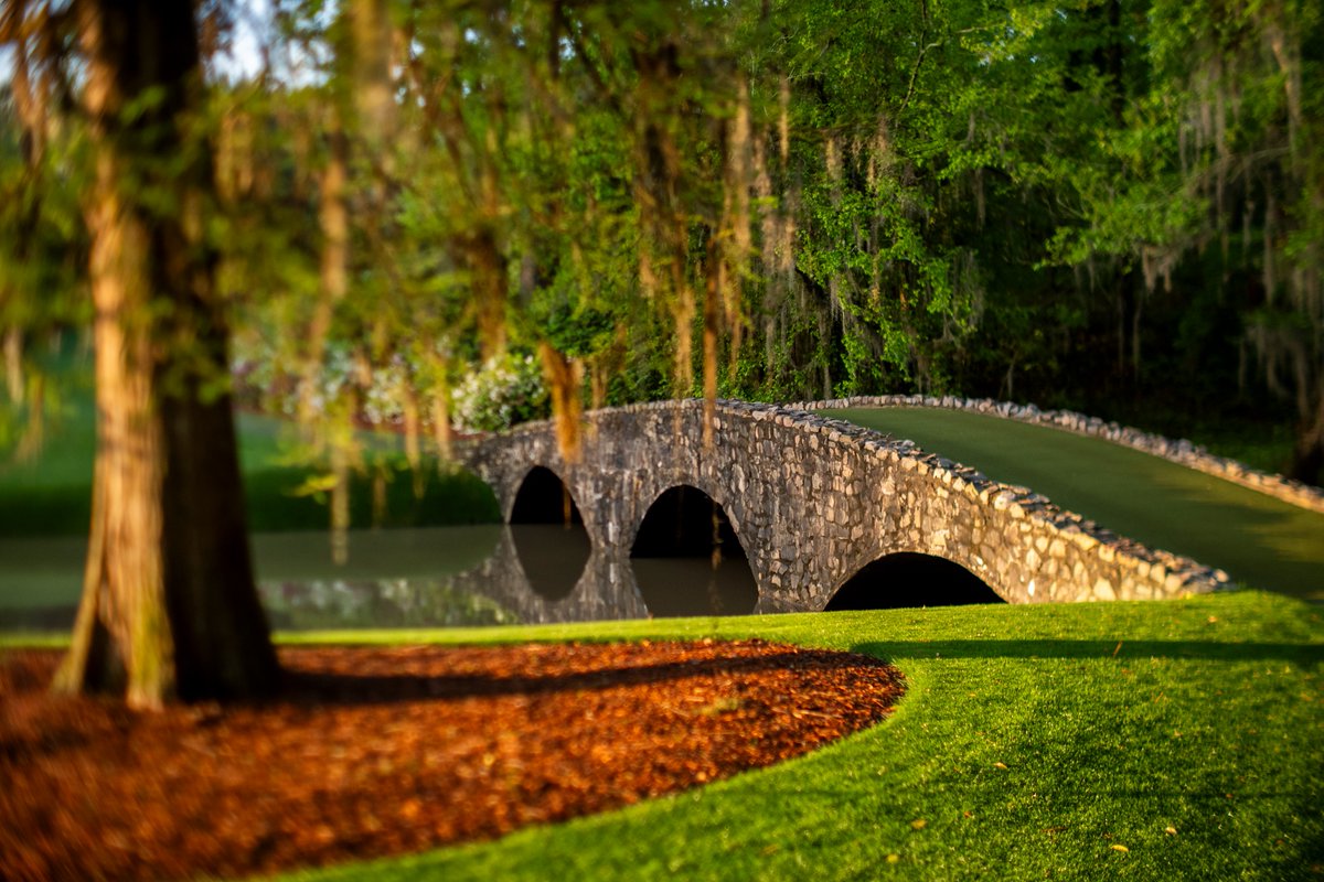 The Masters tweet media