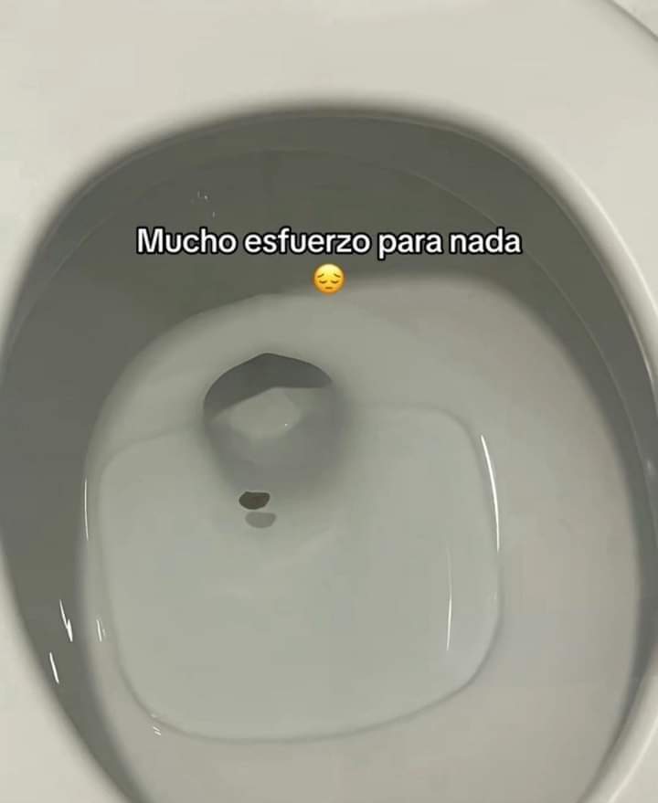 bjs_alejo2's tweet image. 