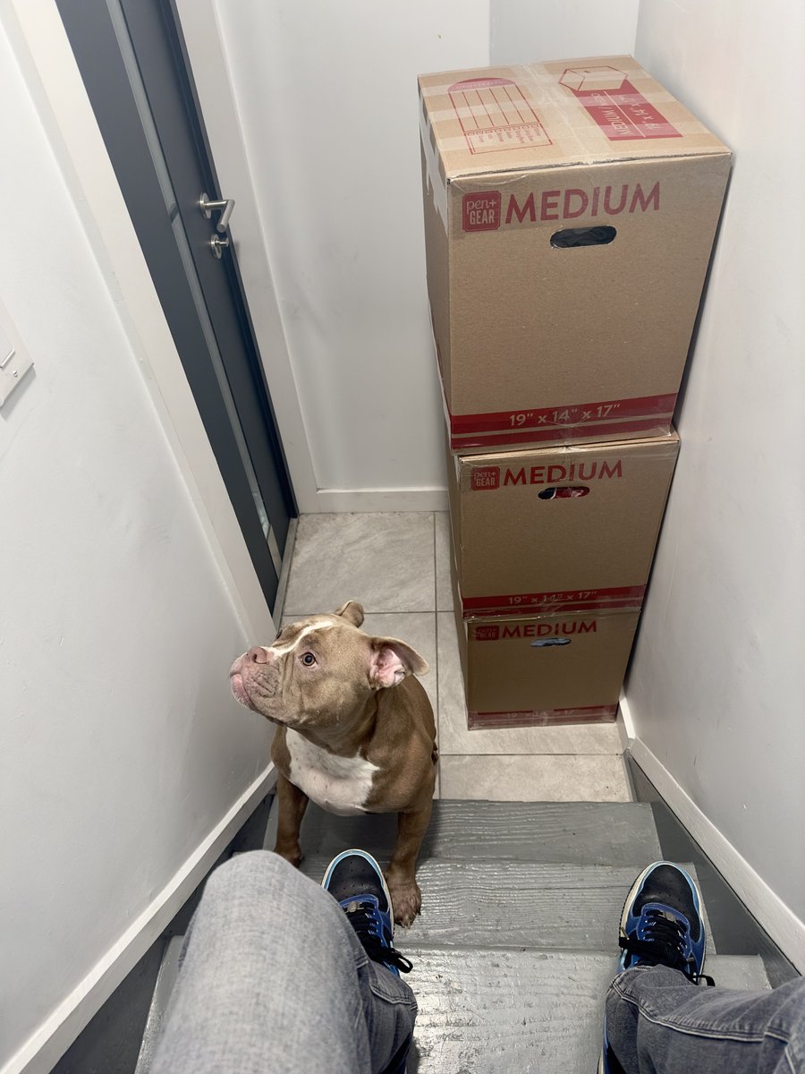 DenFlipper's tweet image. Finally, I’m back after two months. Let’s grind, I’m just as hungry 🧑‍🍳🔥