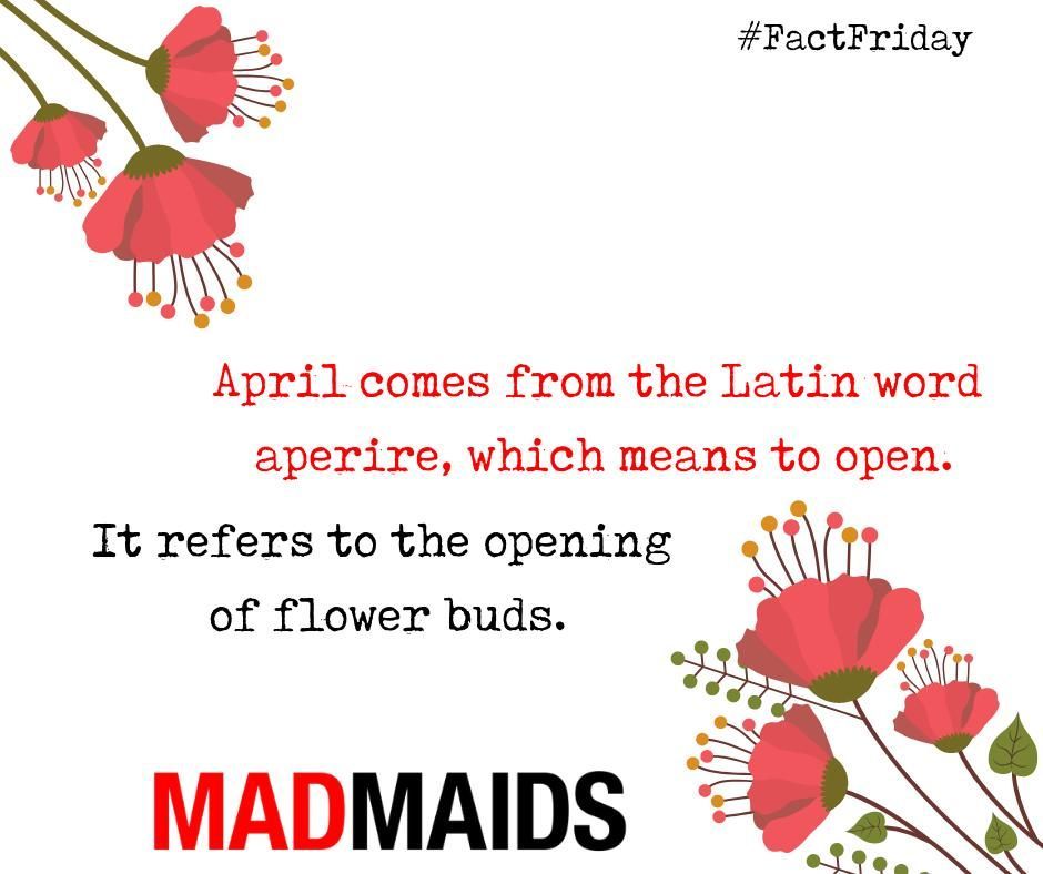 MadMaids's tweet image. April comes from the Latin word aperire, which means to open. It refers to the opening of flower buds.#spring #springfacts #yyc #yeg #madmaids#maidservice