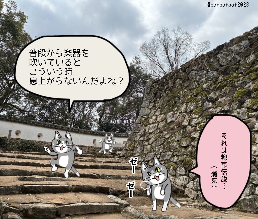 全くそういった事実はございません(弊猫調べ) 