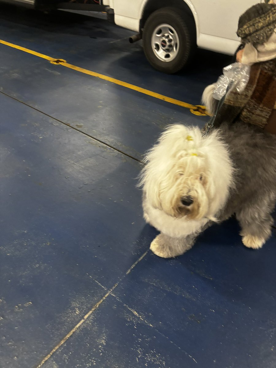 RMayich's tweet photo. @MAferries https://t.co/Fx8cGgPFTQ