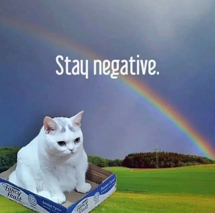 PunchingCat's tweet photo. https://t.co/E0NaT5IiFE