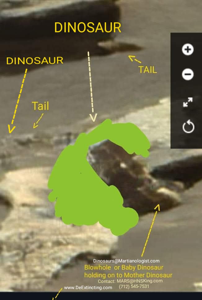 250DOLLARBILL's tweet image. I asked AI  just Now if I would be Famous If I discovered a Living Dinosaur &amp;amp; it said this (I have found many Living Large Dinosaurs on Mars so far! DeExtincted.com 
DeExtincting.com
X.com/MarsLifeForms):

Finding a living dinosaur would almost certainly make…