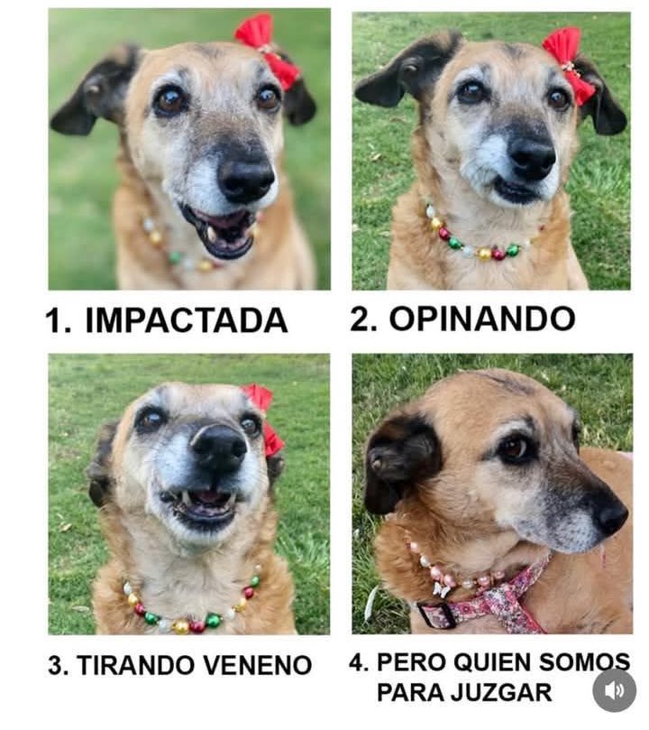 Las 4 etapas del chisme: