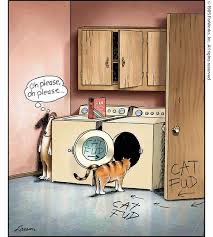 jonahspetfish's tweet image. My Favorite Far Side