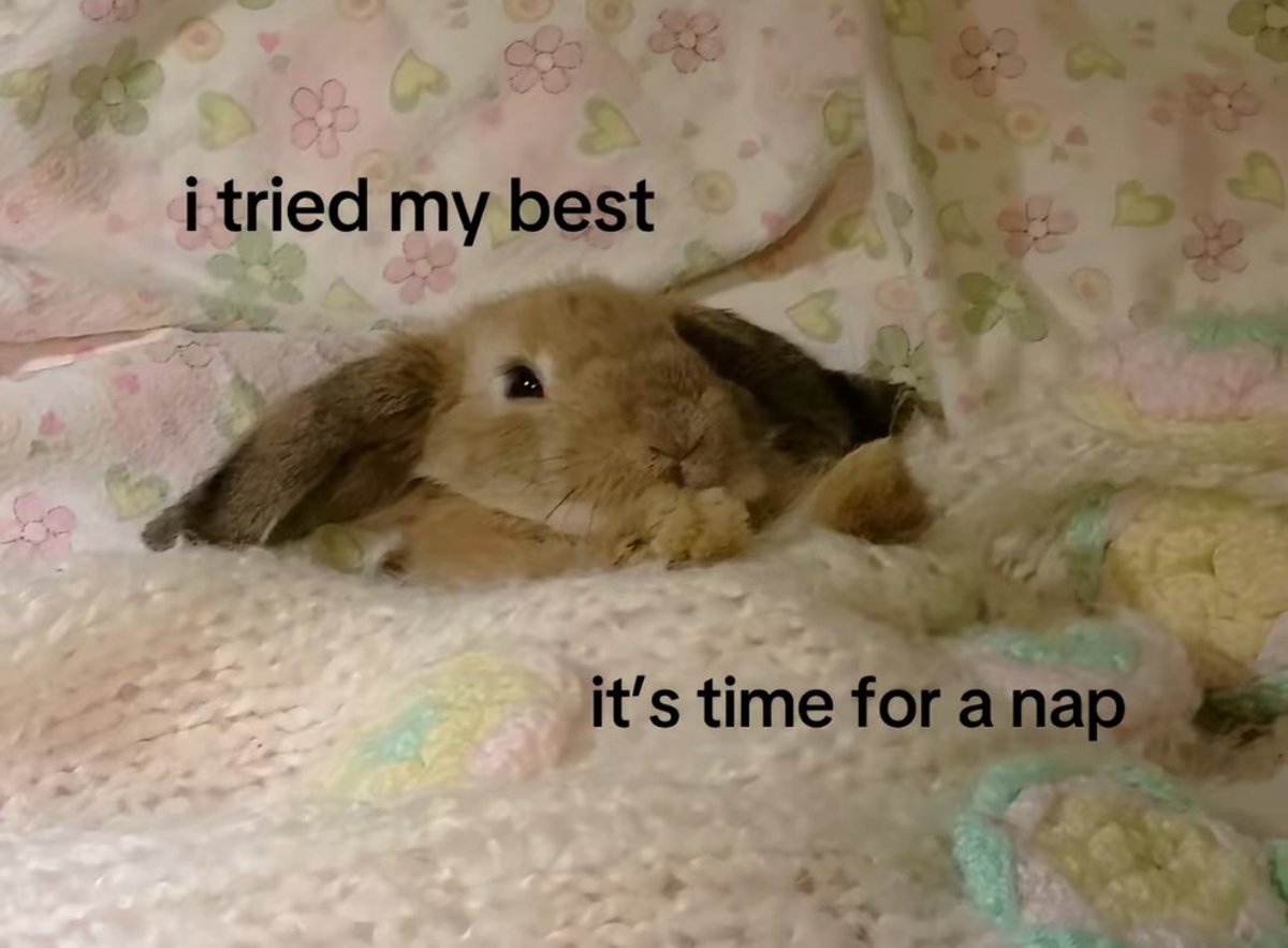 pomfishee's tweet photo. Every day is a smal step towards feeling better, some days feel worse and some better and thats okay,, if you're struggling with your mental health just know youre not alone. Take care of yourself, reward yourself with many naps !! https://t.co/S3ZqVg9lND