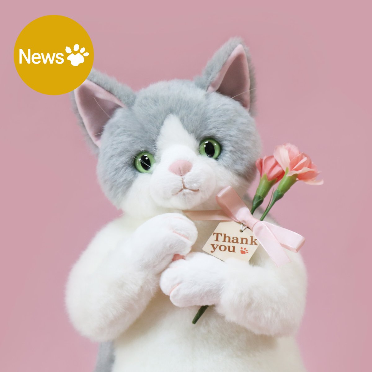 Cuddly（カドリー） (@CuddlyOfficial) / X