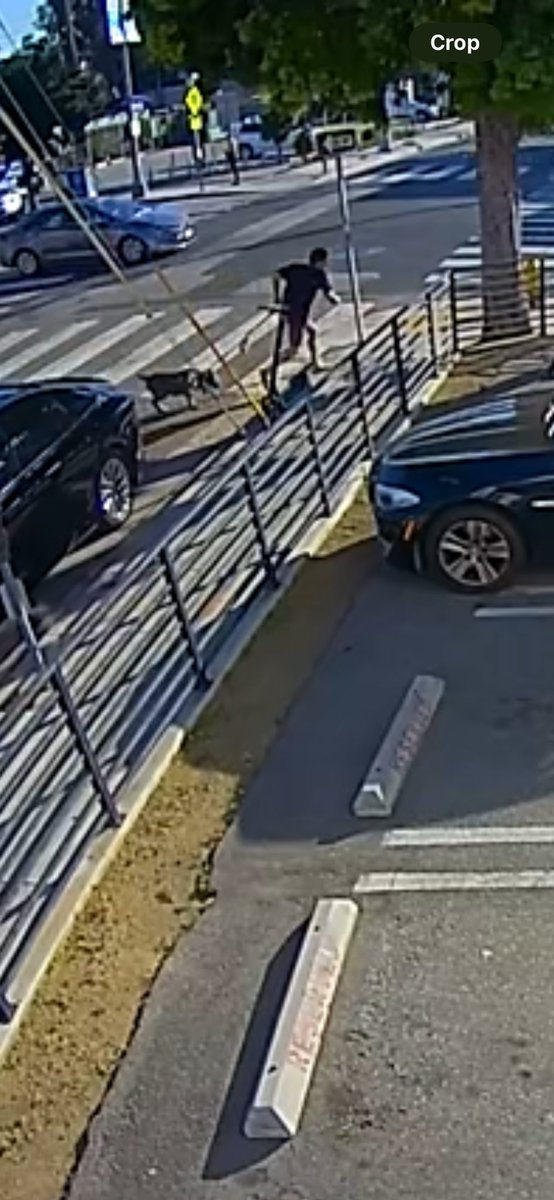 Haley Kluge tweet media