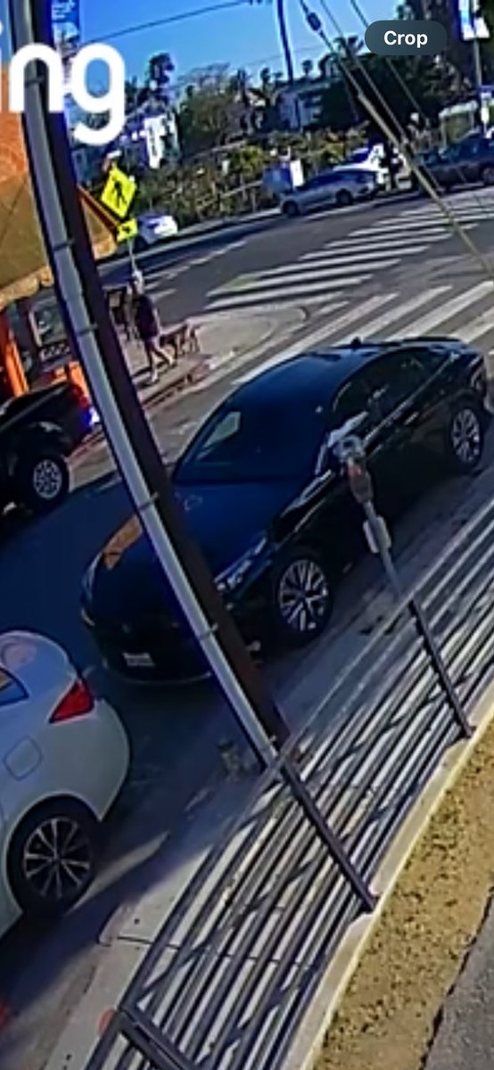 Haley Kluge (@haleykluge) on Twitter photo Tonight @ 5:30 PM, my dog, sister and brother-in-law were violently attacked by a pitbull in SM between Main and 2nd. My dog was killed and the suspect fled the scene. If you have any information on this monster, I beg you to please contact me. <a href="/santamonicacity/">City of Santa Monica</a> Tonight @ 5:30 PM, my dog, sister and brother-in-law were violently attacked by a pitbull in SM between Main and 2nd. My dog was killed and the suspect fled the scene. If you have any information on this monster, I beg you to please contact me. <a href="/santamonicacity/">City of Santa Monica</a>