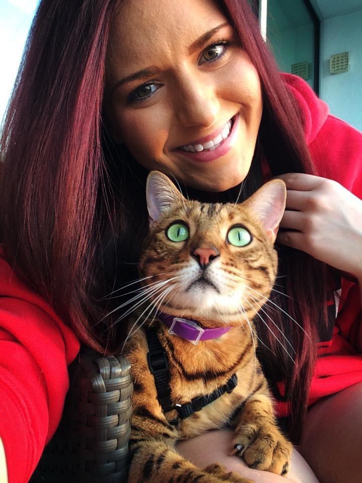 heypikapocket's tweet photo. A year ago, my beautiful boy Hiro left this world and became one of heaven’s brightest angels.

I’m so blessed that Hiro was the first kitty who was all my own. He was a super special boy who brought me so much joy and truly lit up my world 💛 https://t.co/nNBYG3evth
