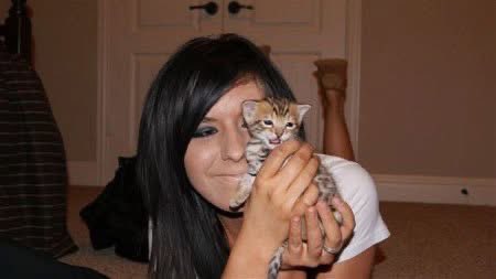 heypikapocket's tweet photo. A year ago, my beautiful boy Hiro left this world and became one of heaven’s brightest angels.

I’m so blessed that Hiro was the first kitty who was all my own. He was a super special boy who brought me so much joy and truly lit up my world 💛 https://t.co/nNBYG3evth