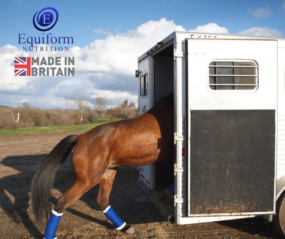 equiform's tweet image. Stay Calm – Support for Stress-Free Travel 🐴💙

✅ Eases tension during loading &amp;amp; transport
✅ Helps horses stay settled before competitions
✅ Supports a calm, focused mindset

Make travel smoother with Stay Calm! 

equiformnutrition.co.uk/shop/calming-r…