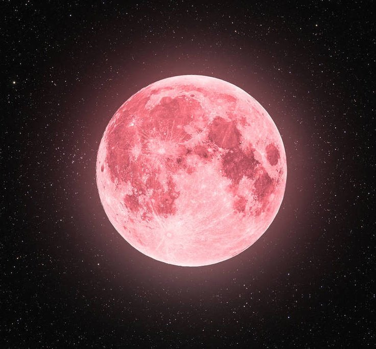 THE WOLF OF BALL MEAT tweet media