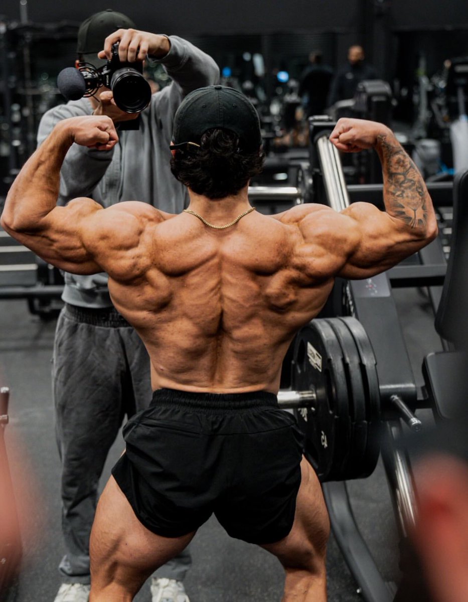 devbernardo_'s tweet image. X