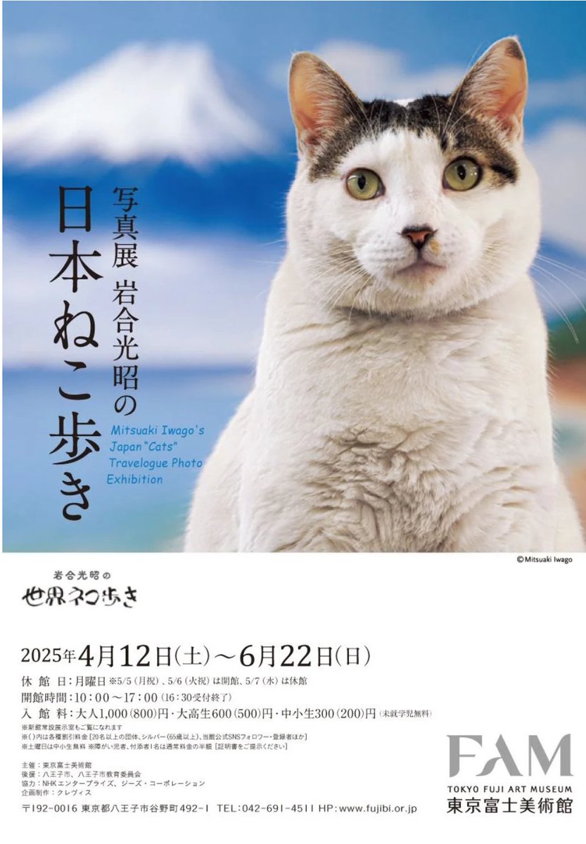昭和レトロ　ヴィンテージ 猫　引っ掛けマスコット　 撮影＆確認のため開封した 昭和レトロ ヴィンテージ 猫 引っ掛けマスコット 撮影＆確認の