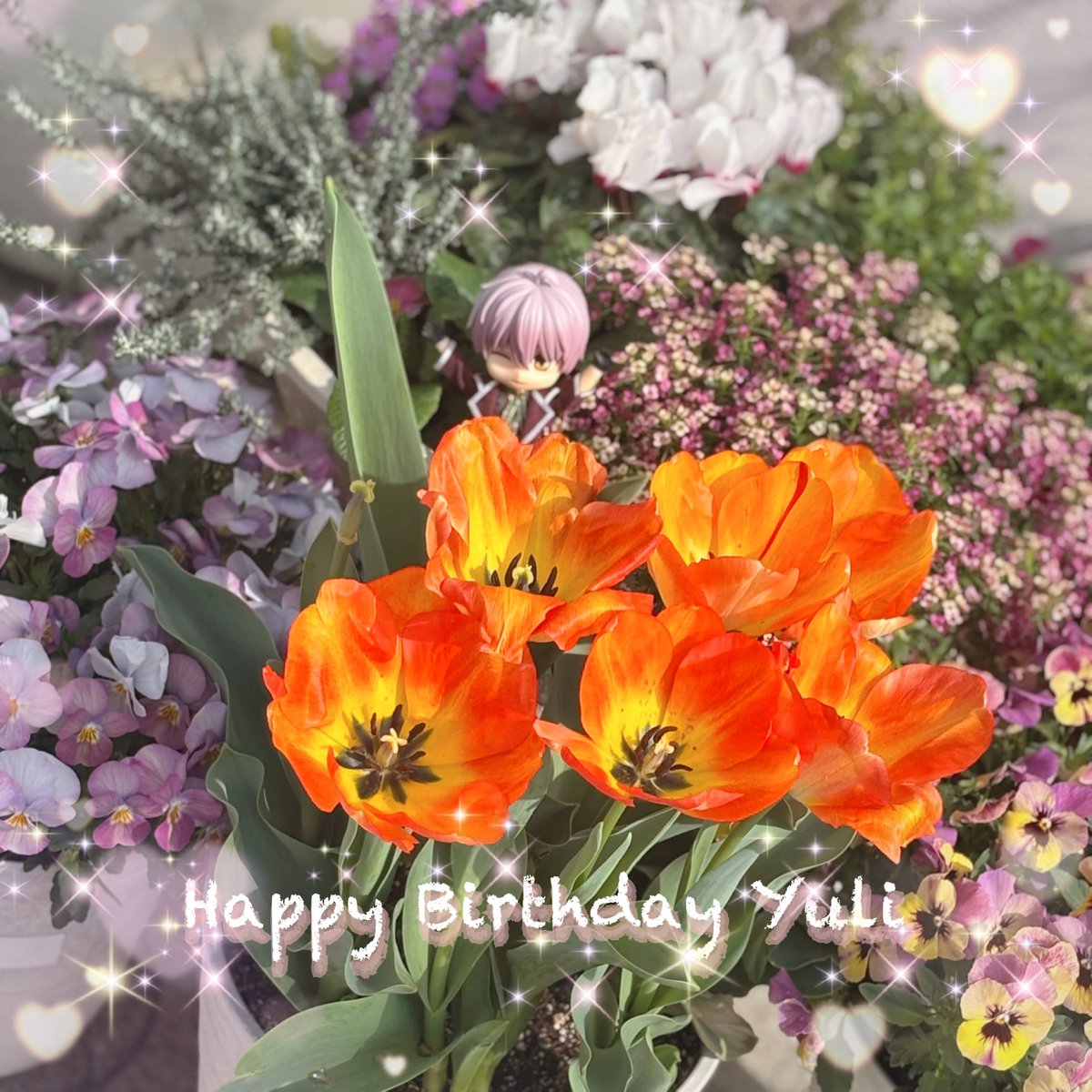 otemoyan1977's tweet photo. 誕生日おめでとう🌷ユーリ

今年のﾁｭｰﾘ🌷はなぜかオレンジ色で咲いたのはビックリしたけど、今日元気に満開になってくれたのでオールOK！😂大好きだよ〜〜

 #プリンセスの愛でTLをピンクに染めて
#イケシリ園芸部 https://t.co/WIh6Wt2Sba