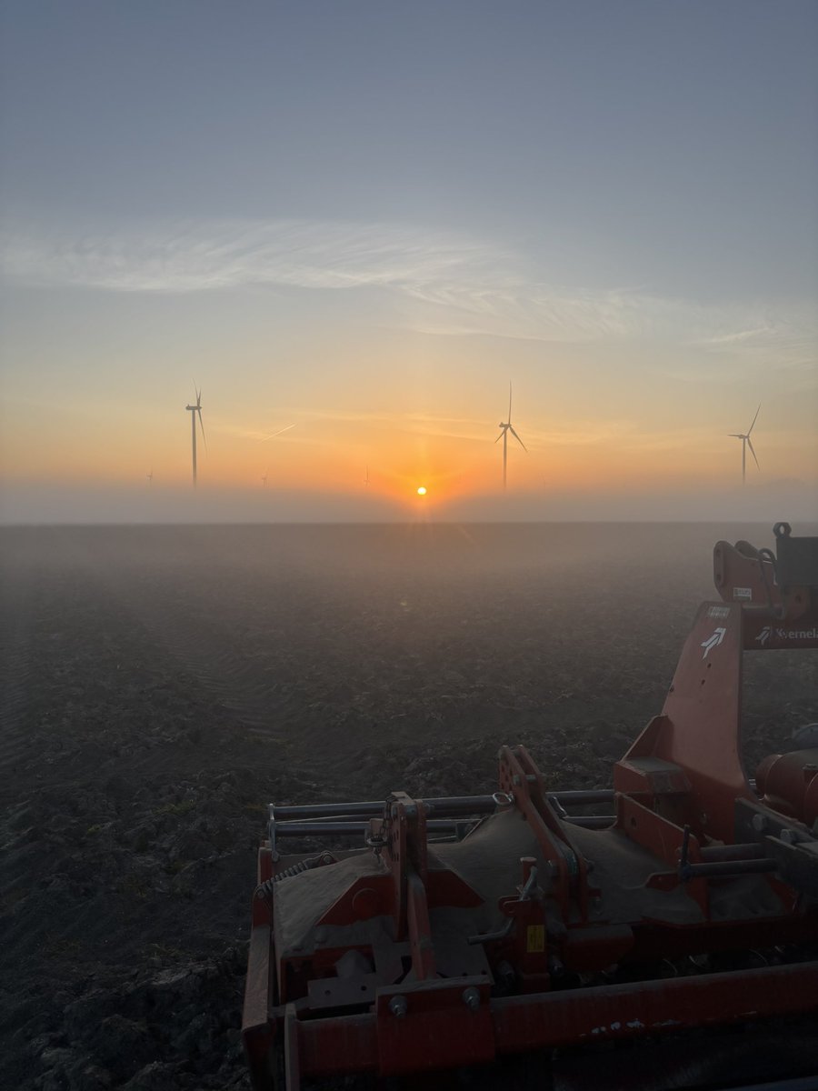 Cees Van Splunter tweet media