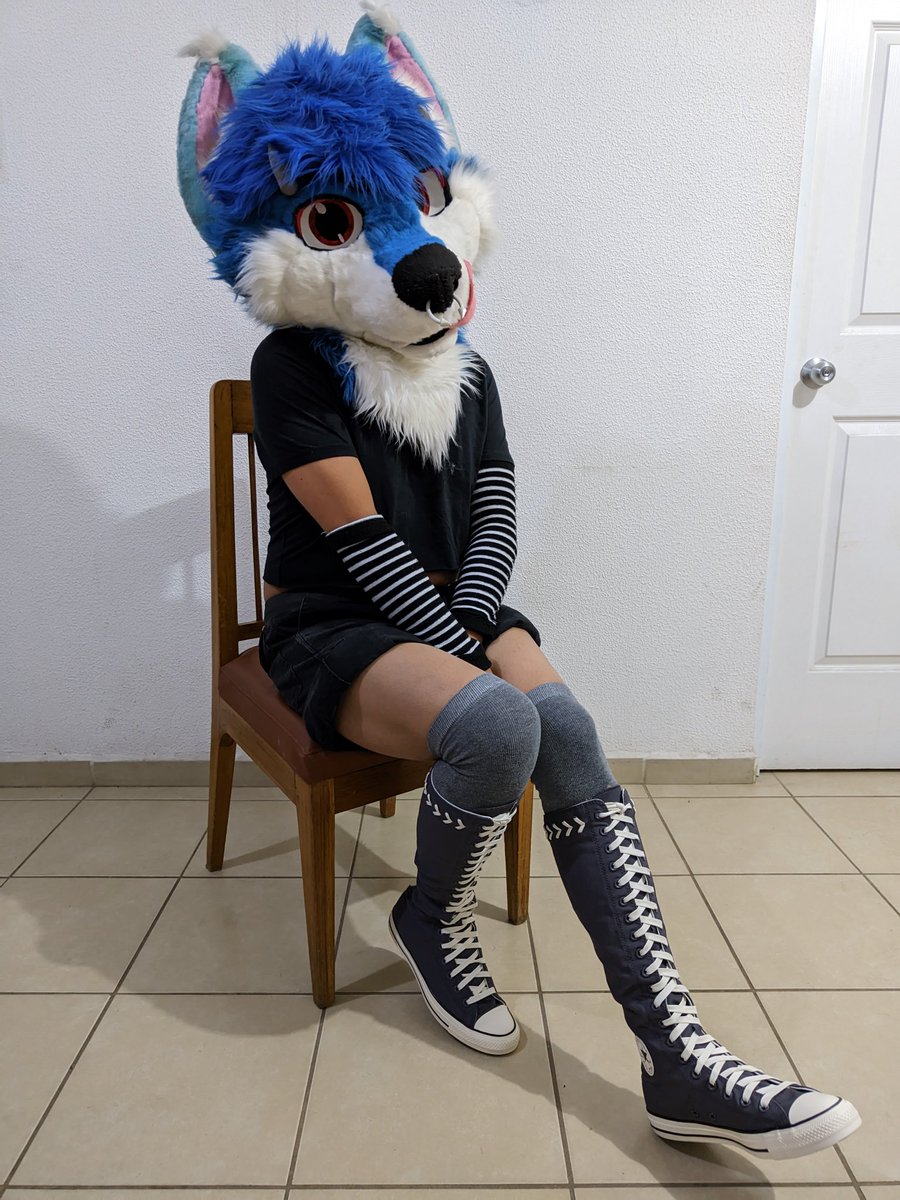 #FursuitFriday me encantaron estos nuevos Converse xxhi 
Viernes de Botargas