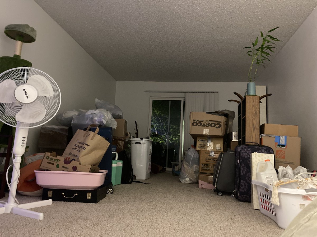 protomanclassic's tweet photo. #Moved #OneBedroom https://t.co/83ujxowwSP