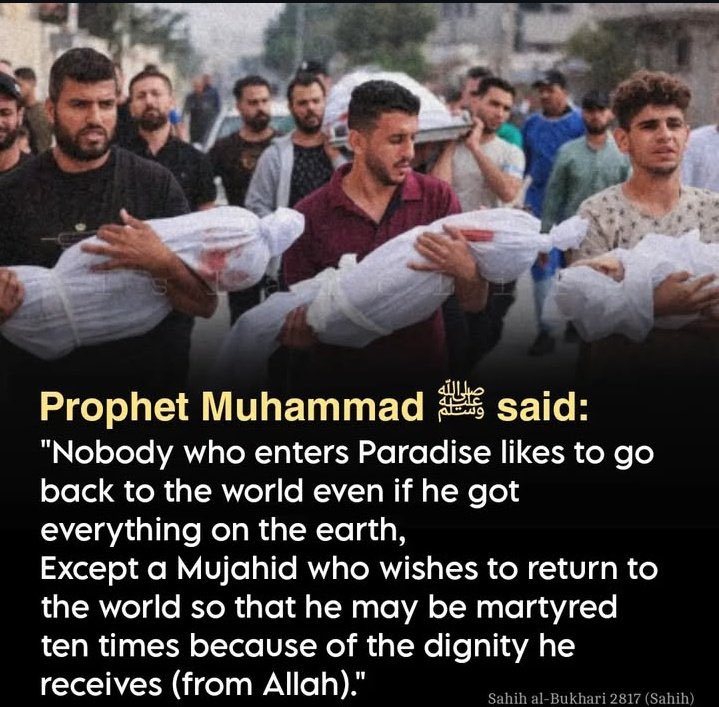 HaleematourS's tweet photo. — The Prophet Muhammad ﷺ said https://t.co/iS1HDZ5Hfb