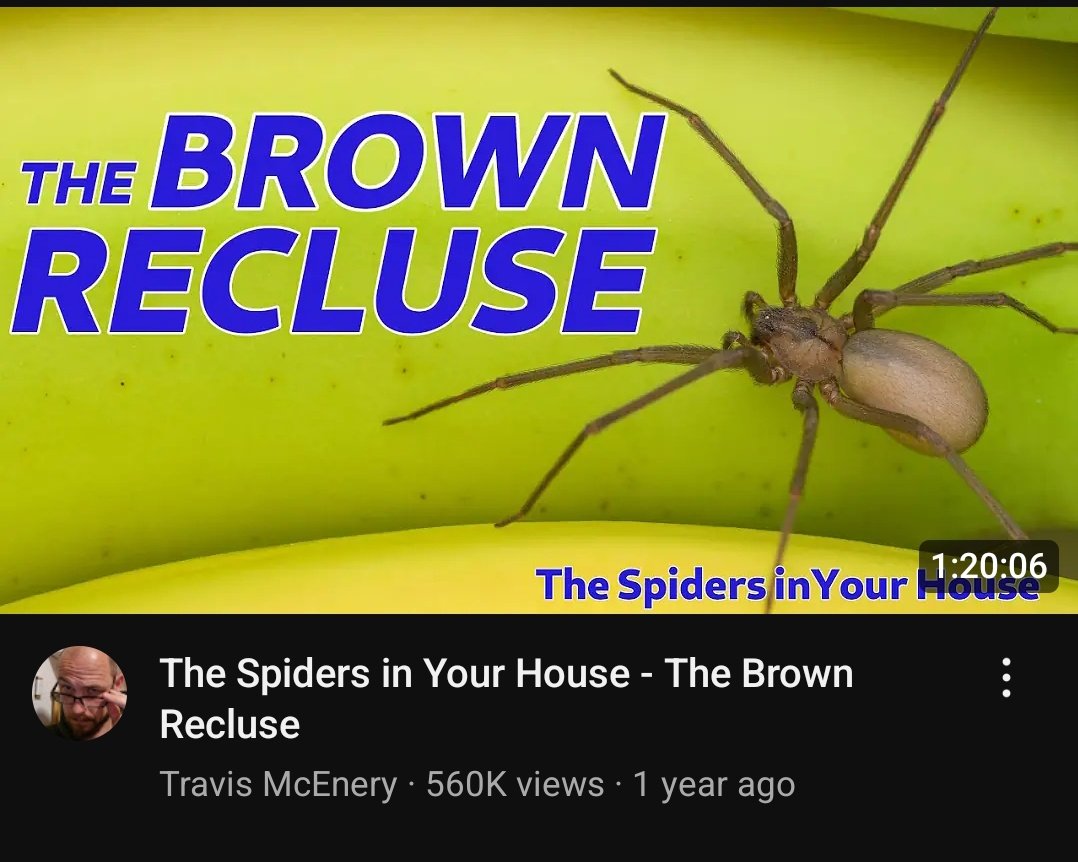 gianweb10's tweet image. I will watch this in its entirety #8steps