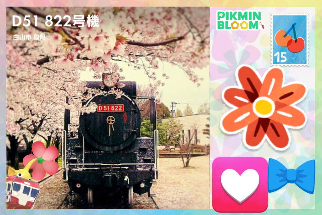 Mmin_bloom's tweet photo. 桜🌸🌸🌸
ありがとうございます🫶💞
#ピクミンブルーム　#PikminBloom https://t.co/WhBuMeM5gx