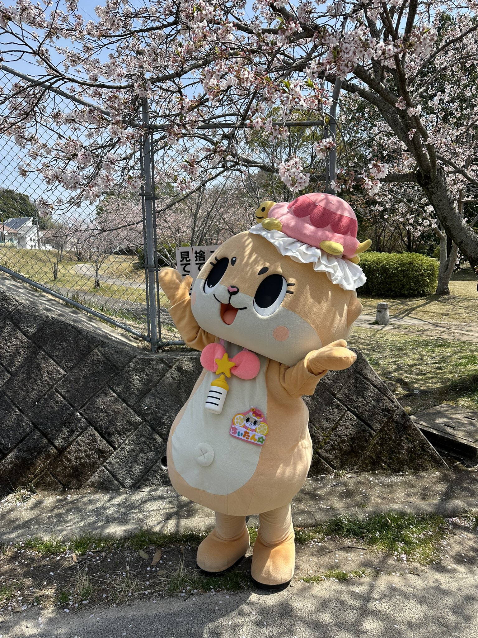 Highlights by 公式：ちぃたん☆大阪 (@Chiitan_Osaka) / X