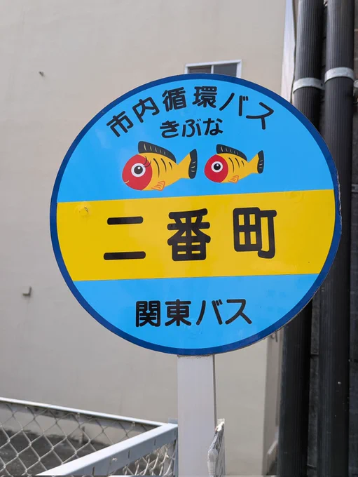 5年ぶりの宇都宮!街歩き楽しいね 