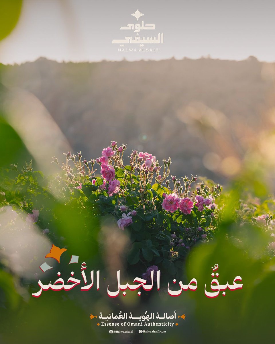 حلوى السيفي tweet media