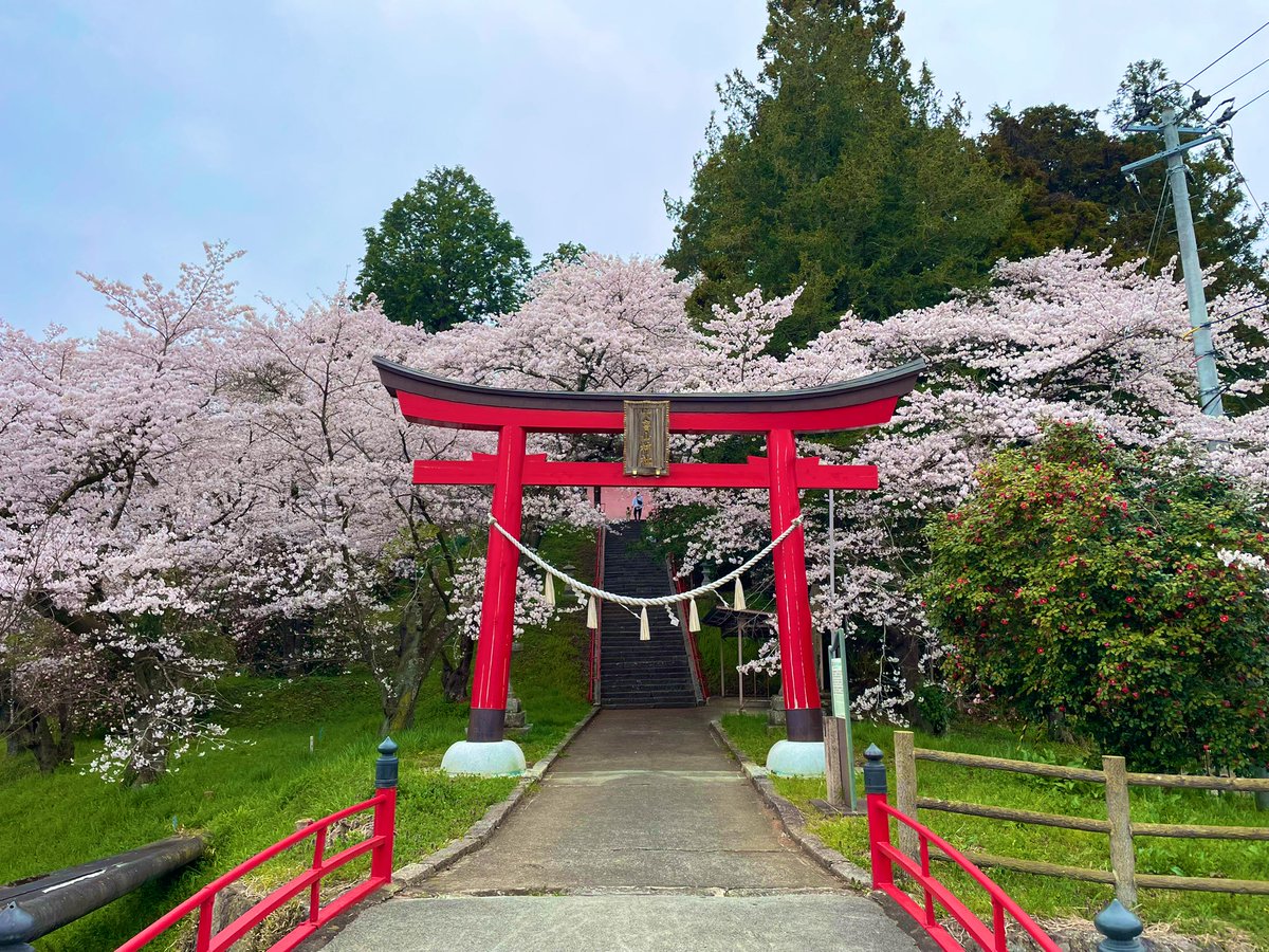16born's tweet photo. 家族で花見で良い休日✨
ほぼ毎年行っている一目千本桜🌸 https://t.co/SzRhfmovNq