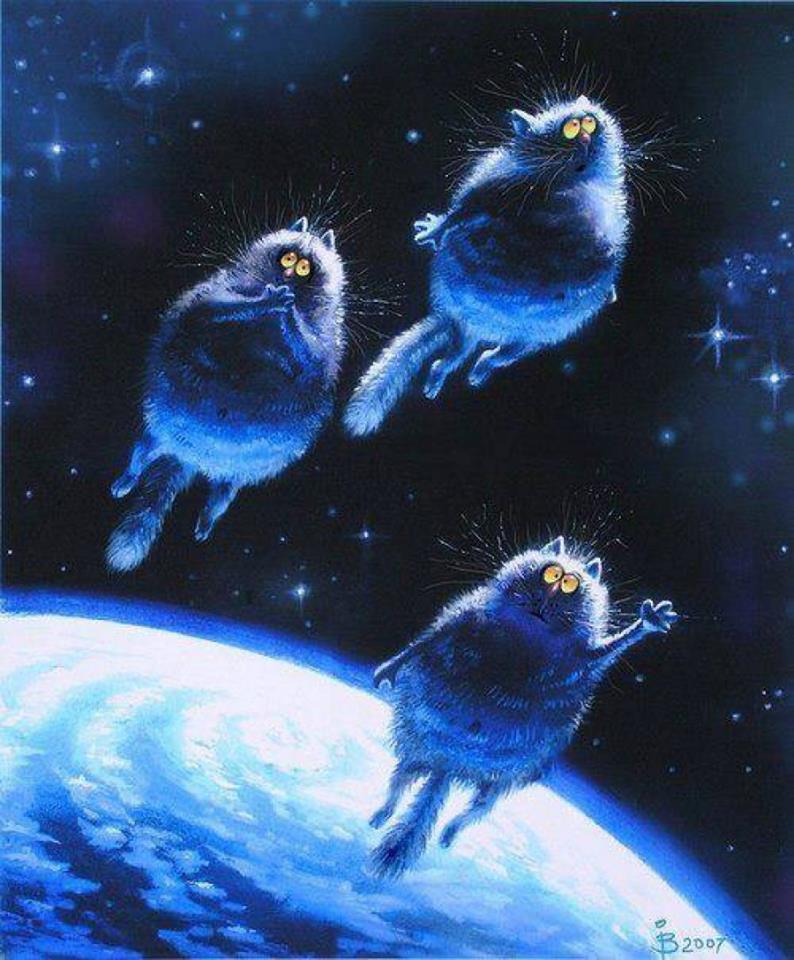 Рина Зенюк «День котонавтики».