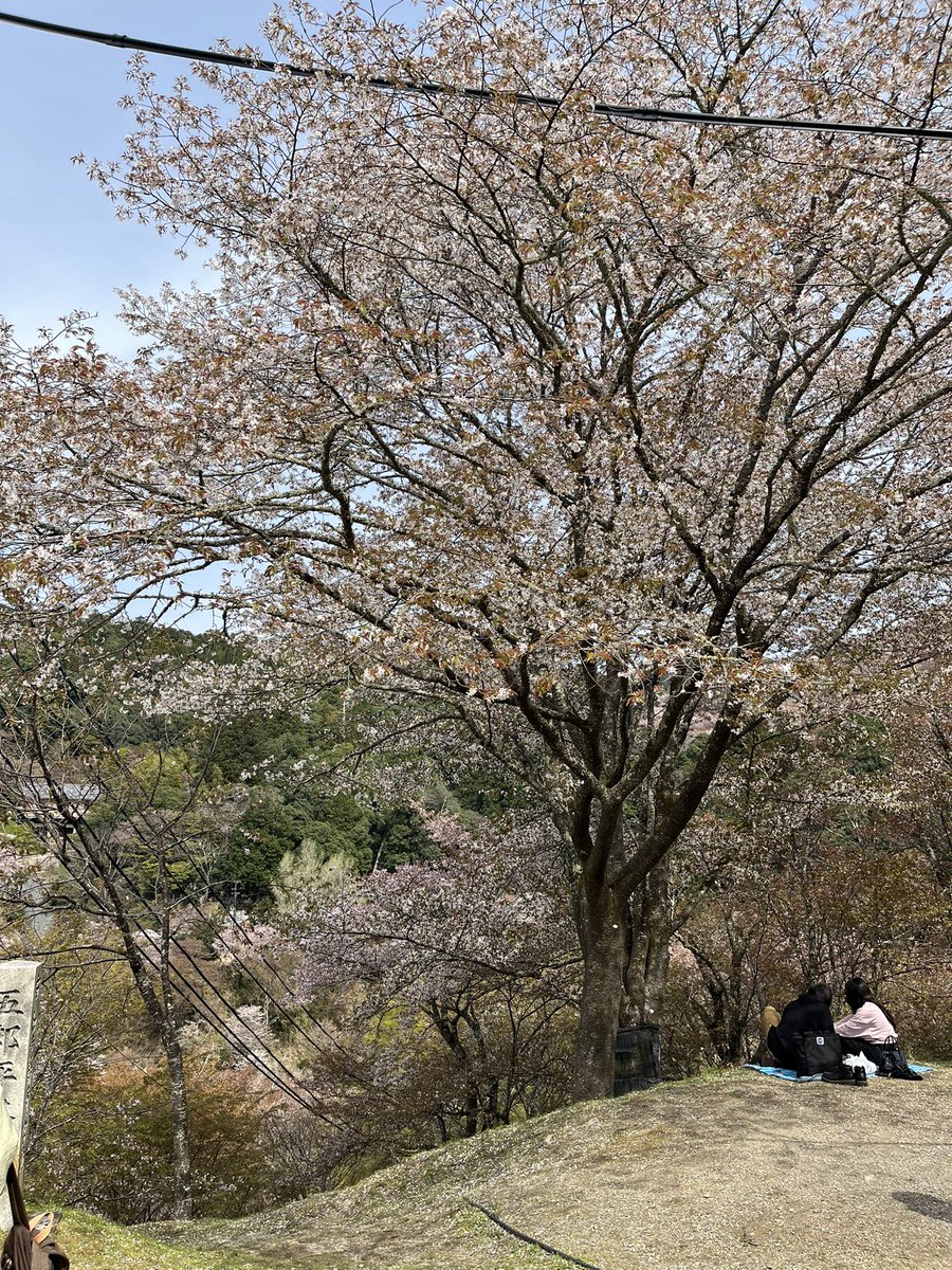 70ki8suda tweet media