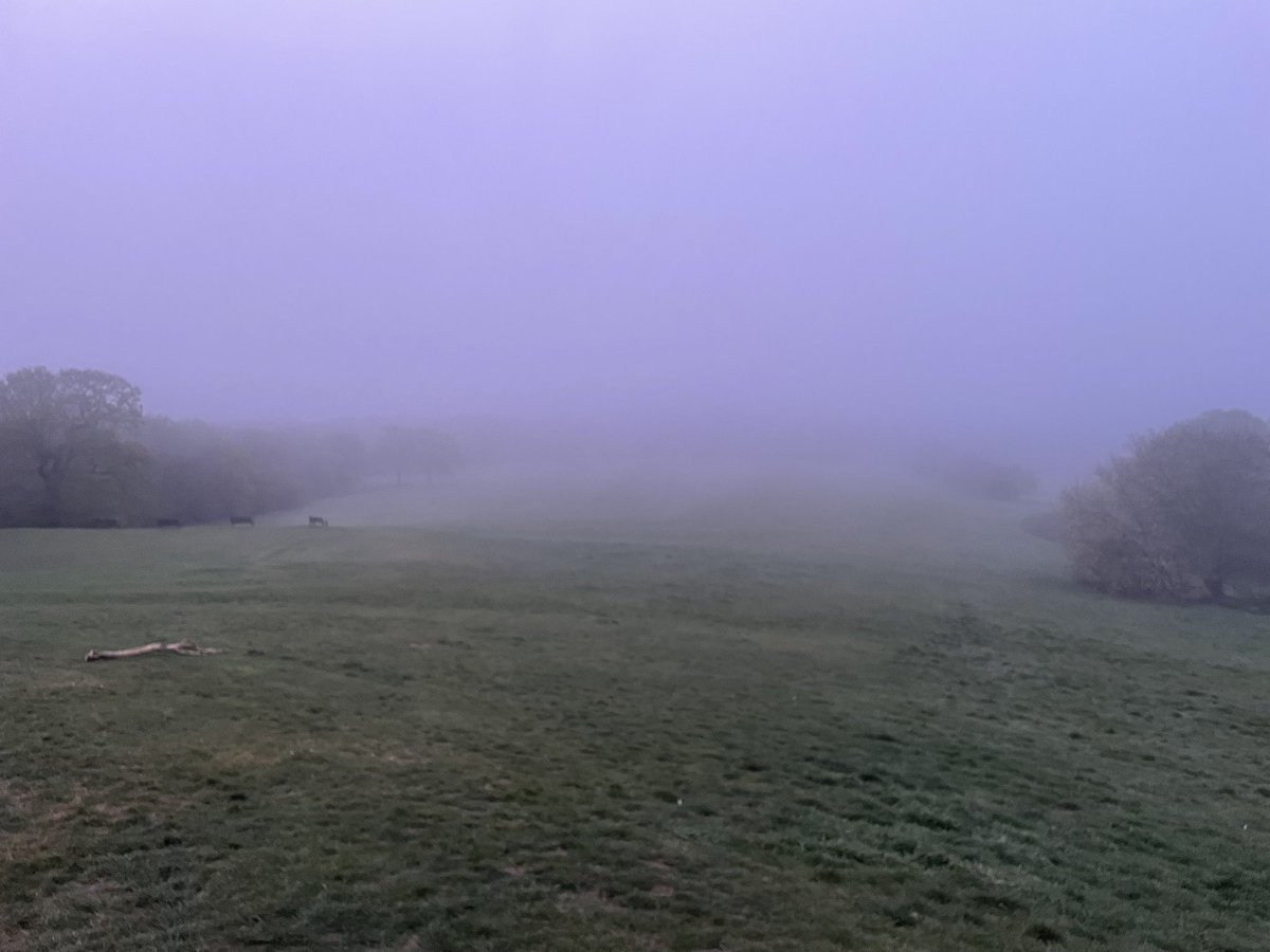 It’s a misty start to #Saturday - even one of SE London’s most famous sites is hidden away…. 
Wake Up To The Weekend from 7-10am on Maritime Radio - and <a href="/jennyepenn/">jennypenn</a> has all the local news as well. <a href="/maritimeLDN/">Maritime Radio</a>