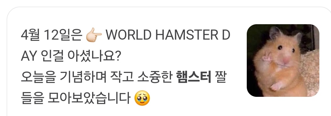 밍누🍀 tweet media