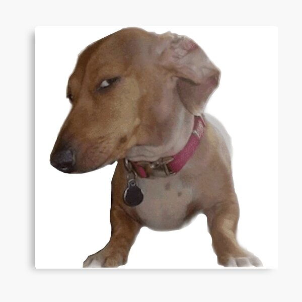 Carlos C. tweet media