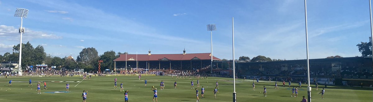 Goran Gorgioski tweet media