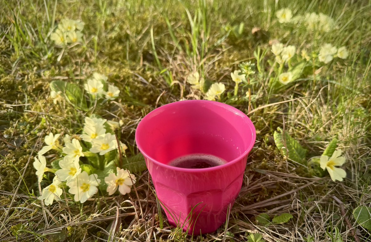 Spirelli79's tweet photo. #frühlingserwachen #espressointhesun #doconduty #24hshift https://t.co/iWONRygThH