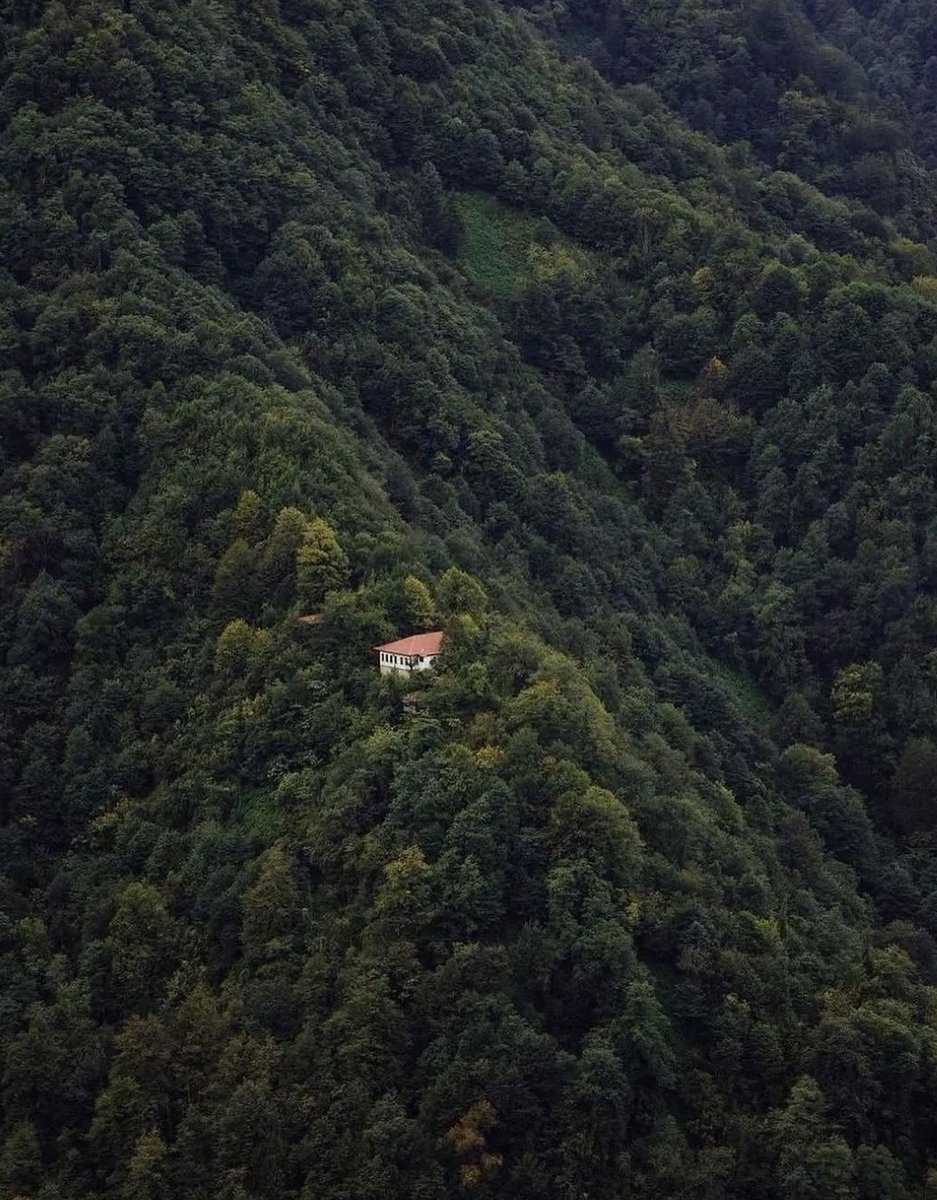 deftersanat's tweet photo. Kafamın istediği huzur. https://t.co/DORwIT9PlT