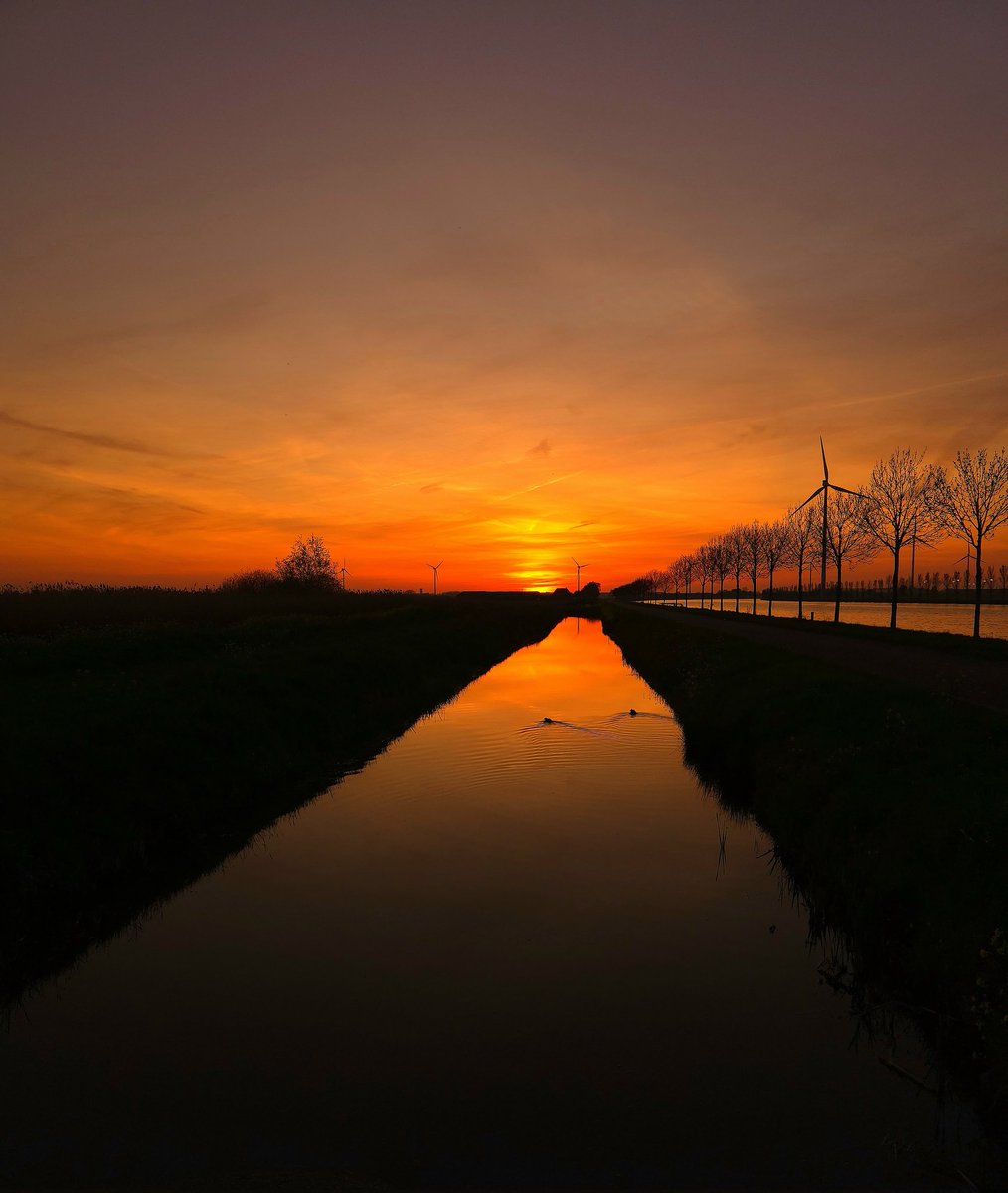 elsv62's tweet photo. Goedemorgen,  mooi avondrood gisteravond. https://t.co/QwhSd2yXhu